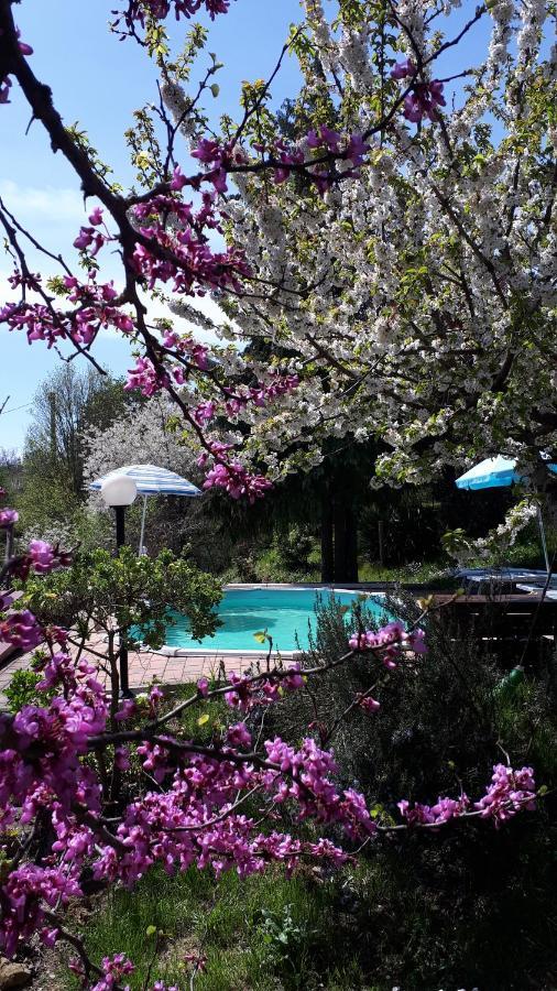 Apartamento Il Ciliegio Del Pellegrino Gubbio Exterior foto