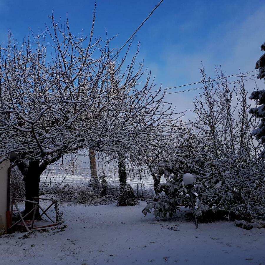 Apartamento Il Ciliegio Del Pellegrino Gubbio Exterior foto
